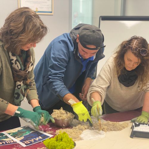 atelier-logo-vegetal-ocea-marseille-team-building-collaboratif