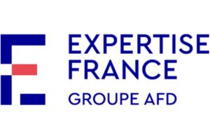 expertise france x fabrikable atelier team building fresque collaborative