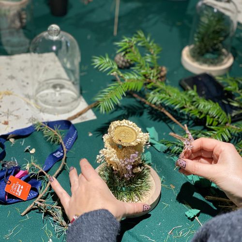 atelier cloche vegetale fabrikable